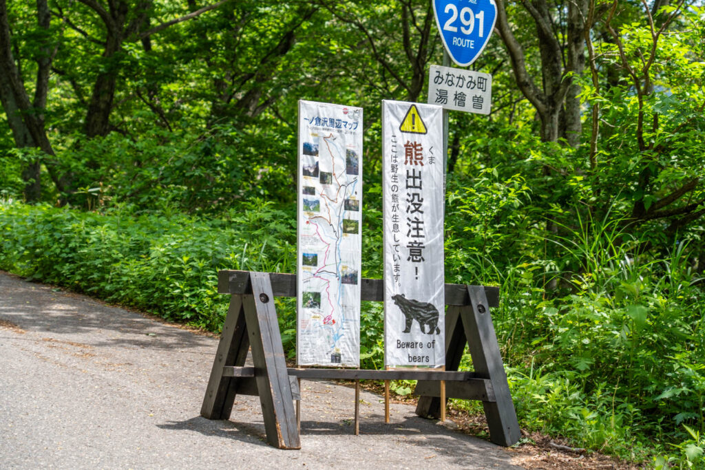 5、クマ出没注意